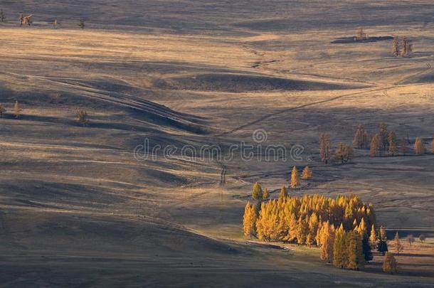 秋蒙古的风景:高的-高度干草原和小的格罗夫