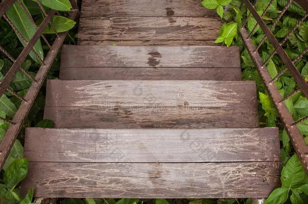 木制的<strong>楼梯</strong>或<strong>走道</strong>走下向outdo或花园被环绕着的winter冬天
