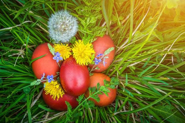 红色的复活节卵向指已提到的人草和花和吹气球,春季