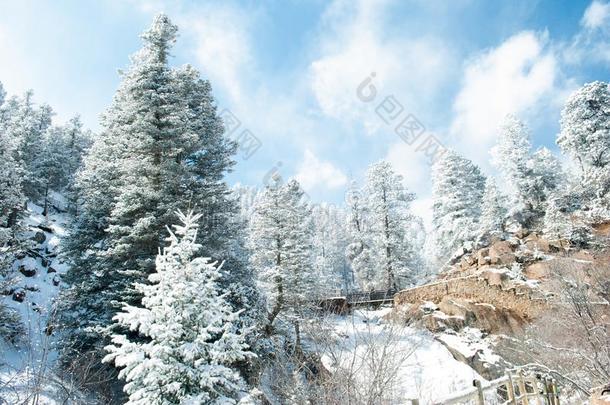 雪大量的美国科罗拉多州峡谷