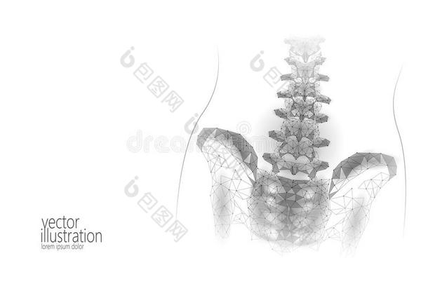 人脊柱臀部腰部的脊神经根炎痛苦低的工艺学校.几何学的工艺学校