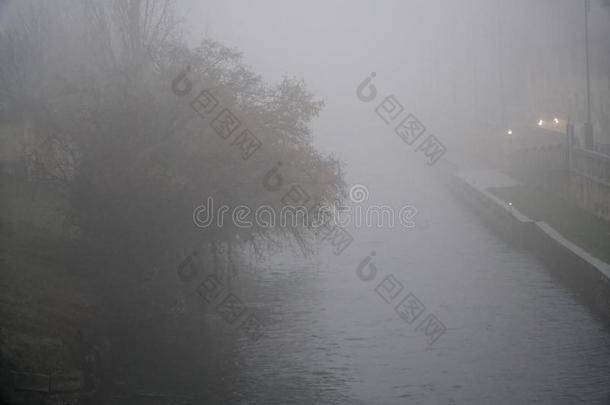 有雾的水运河频道和树向河银行