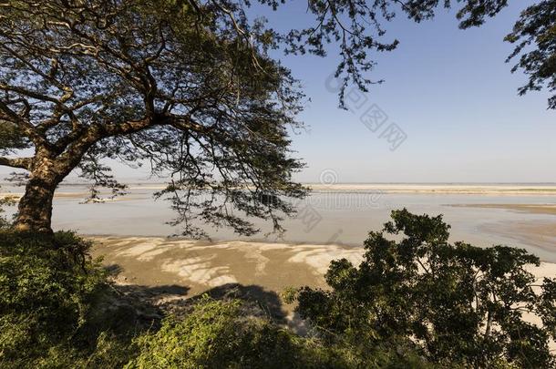 伊洛瓦底江河和沙洲采用巴甘,缅甸