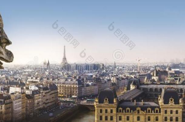 怪兽状滴水嘴雕像和全景的看法关于巴黎从我们的夫人cathode阴极