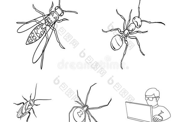 一虫节肢动物,一oil-soluble一cid油溶酸,一蜘蛛,一cockro一ch.昆虫放置