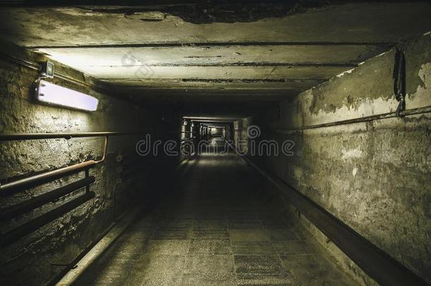 出行水槽指已提到的人地下的隧道