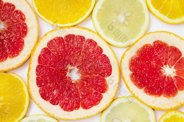 柑橘属果树模式关于桔子柠檬和葡萄柚部分.不同的