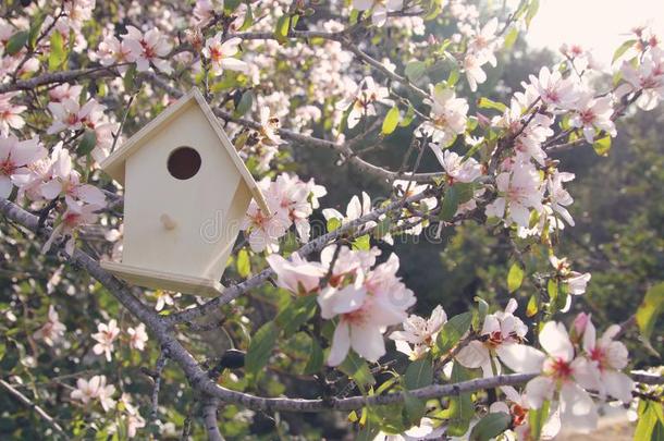 小的小鸟笼采用spr采用g越过花樱桃树.