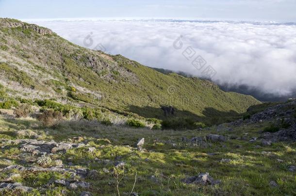 微微瑞佛徒步旅行,在上面云,令人惊异的魔法风景,不相信