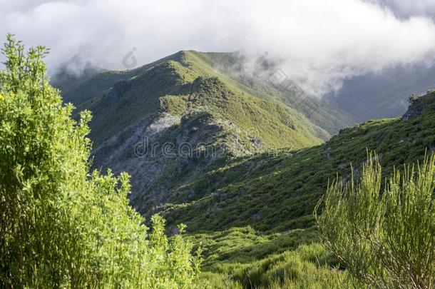 微微瑞佛徒步旅行,在上面云,令人惊异的魔法风景,<strong>不相信</strong>