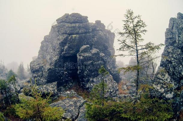 黑暗的山风景和大的神秘的岩石大量的在旁边雾