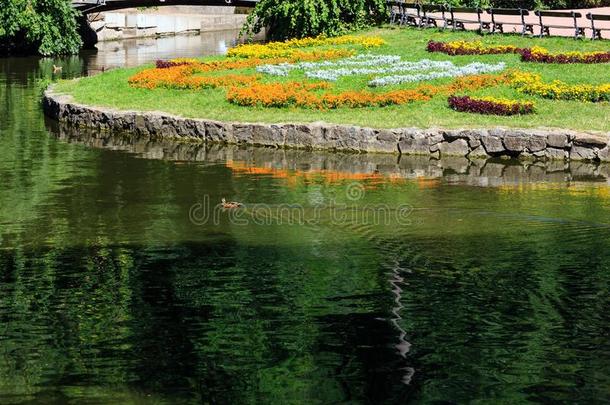 夏公园,湖和花床向草地.