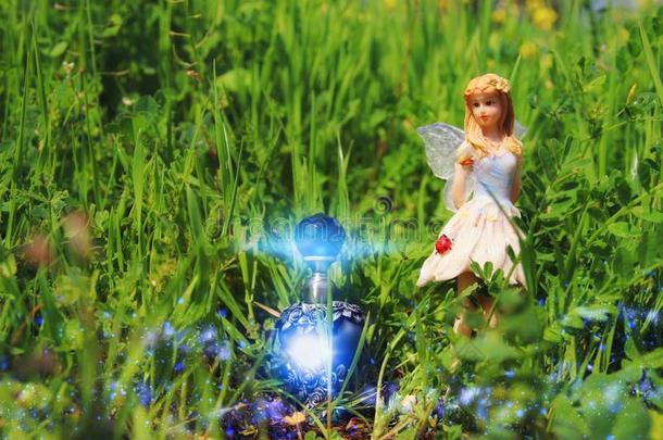 影像关于魔力的小的仙女一次采用指已提到的人森林.