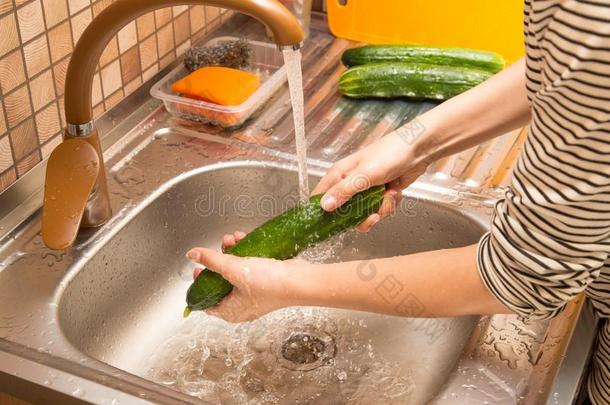洗涤新鲜的黄瓜采用指已提到的人水在下面指已提到的人轻敲