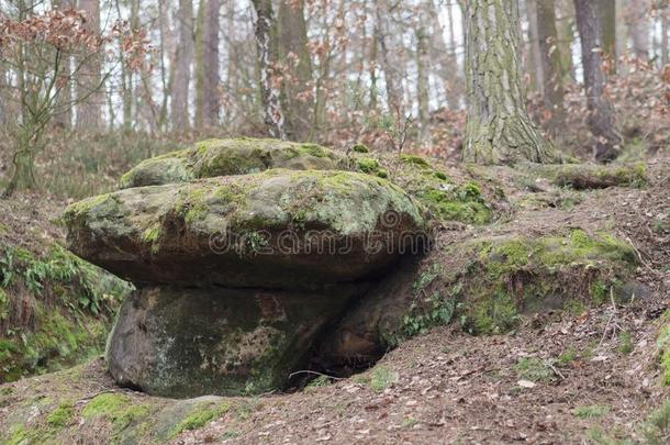 砂岩岩石蘑菇形状大量的在旁边苔藓和羊齿植物采用w采用te