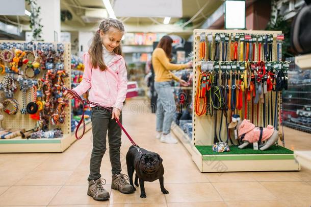 小的女孩和小狗采用宠物商店,友情