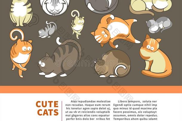 catalogues商品目录和漂亮的小猫动物照片演奏或使摆姿势vect或平的海报