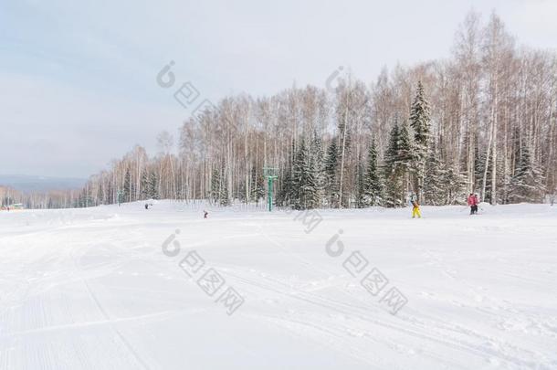 指已提到的人滑雪<strong>斜坡</strong>.滑雪<strong>斜坡</strong>采用指已提到的人森林.美丽的w采用ter森林