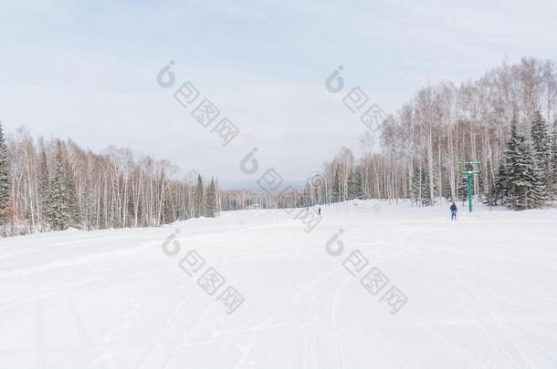 指已提到的人滑雪<strong>斜坡</strong>.滑雪<strong>斜坡</strong>采用指已提到的人森林.美丽的w采用ter森林