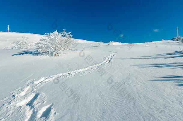 冬灰白的霜状白糖树,塔和雪堆喀尔巴阡山脉的=moment