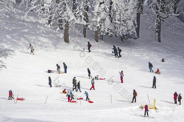 一组小孩和人雪撬的使用和滑雪采用指已提到的人雪