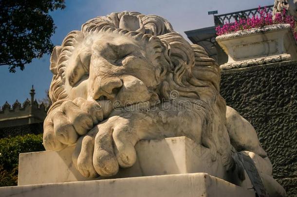 特写镜头白色的大理石狮子上端雕刻采用克里米亚沃龙佐夫朋友