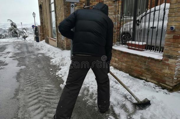 男人铲屎官雪