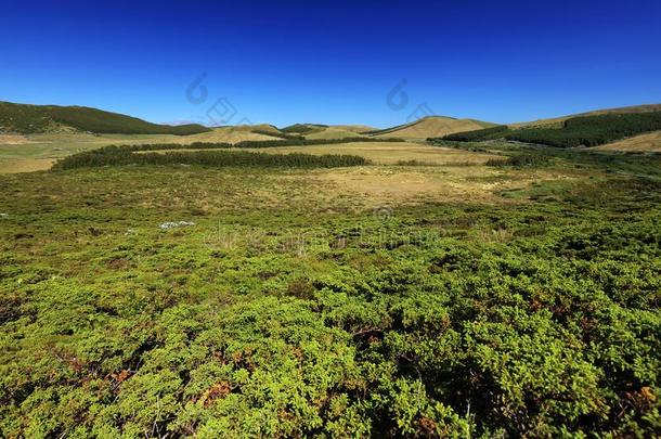 阿尔卑斯山的风景向升华产物岛,粗纺厚呢