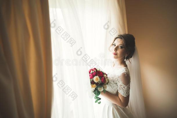 美丽的新娘使人疲乏的时尚婚礼衣服和羽毛和