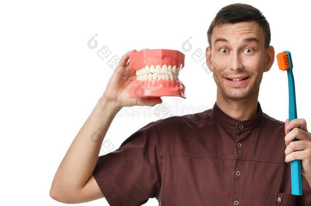 大的牙仿制品和牙科医生医生和牙刷子给看怎样向