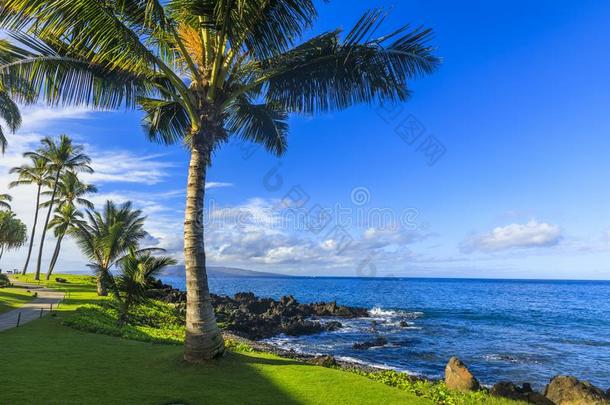瓦伊拉马克纳海滩采用毛伊岛,美国夏威夷州,美利坚合众国