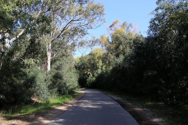 指已提到的人路进入中指已提到的人距离