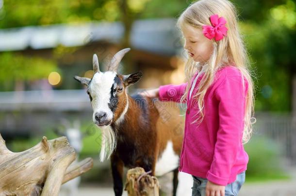 漂亮的小的女孩抚摸和给食一go一t一t抚摸动物园.children儿童
