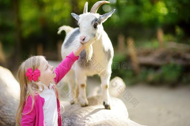 漂亮的小的女孩抚摸和给食一go一t一t抚摸动物园.children儿童
