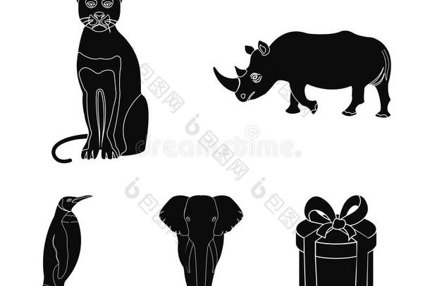 黑的犀牛,豹野生的猫,非洲的动物象,<strong>小恶魔</strong>