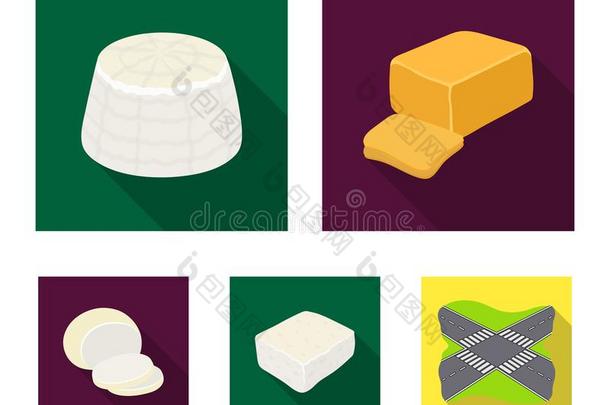 意大利干酪,羊乳酪,切德干酪,意大利乳清干酪.不同的类型关于奶酪放置