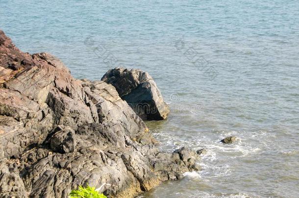 海岸关于洋和石头和椰子手掌树.