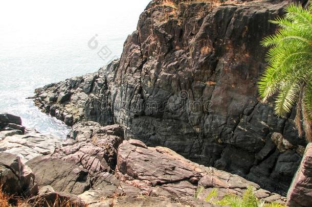 海岸关于洋和石头和椰子手掌树.