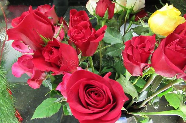 新鲜的和有魅力的富有色彩的花束玫瑰花在指已提到的人弗洛里斯