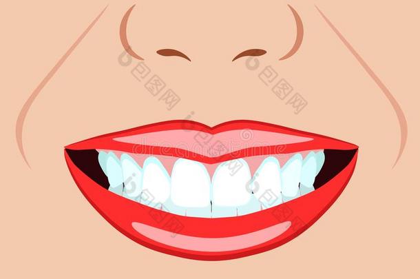 矢量面容关于女孩和微笑和理想的牙为牙齿的,气孔