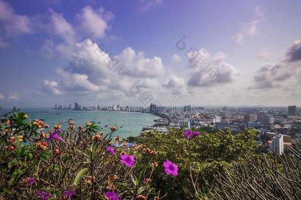 海景画,海,天云,海,芭堤雅