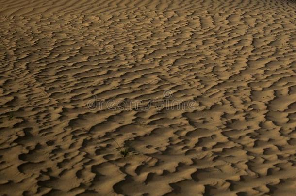 沙漠沙质地