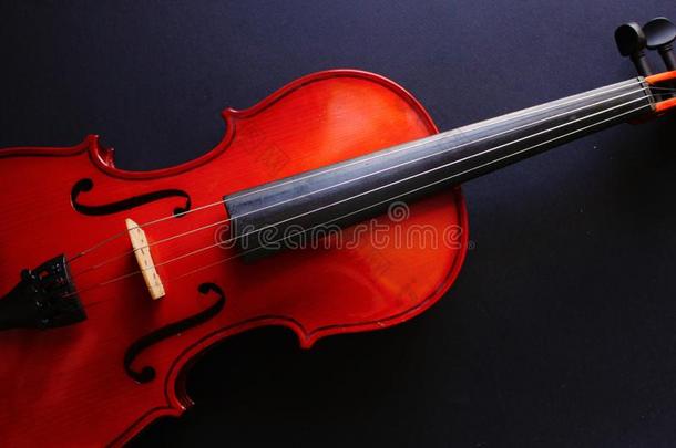 音乐的仪器小提琴.古代的小提琴.有弦的仪器.