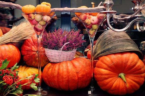 富有色彩的秋装饰和南瓜