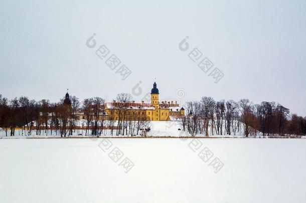 内斯维兹城堡.冬