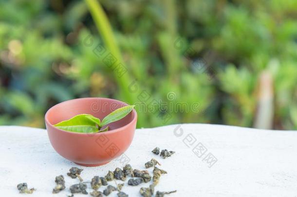 杯子关于茶水和茶水叶子向指已提到的人st向e墙表和指已提到的人茶水计划