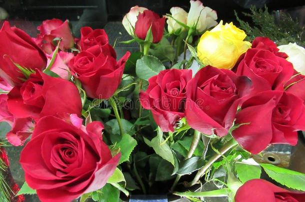 新鲜的和有魅力的富有色彩的玫瑰花在指已提到的人花商