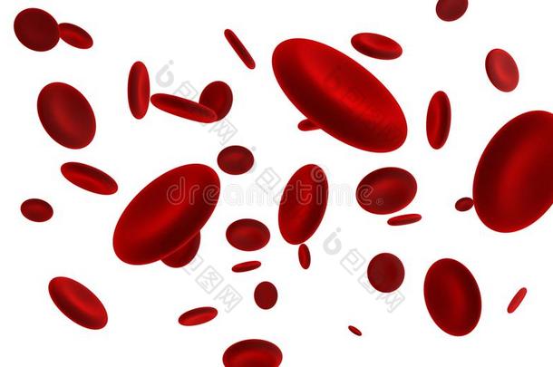 红色的血细胞流动的采用一动脉