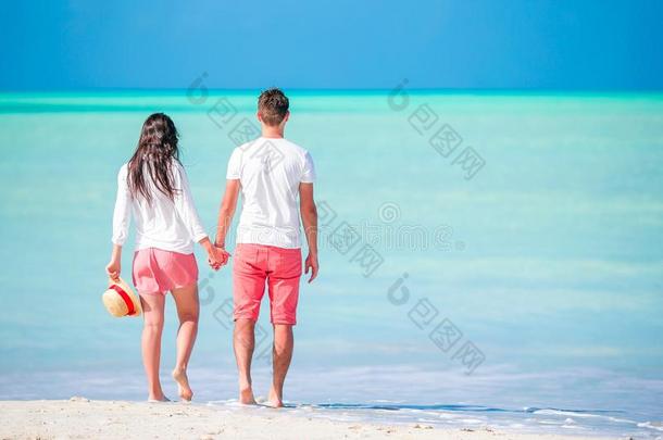 年幼的对步行向热带的海滩和白色的沙和土曲