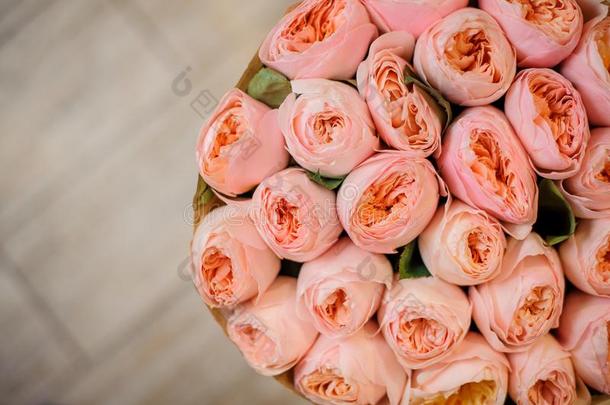 顶看法照片关于花束关于华丽的粉红色的毛茛属植物